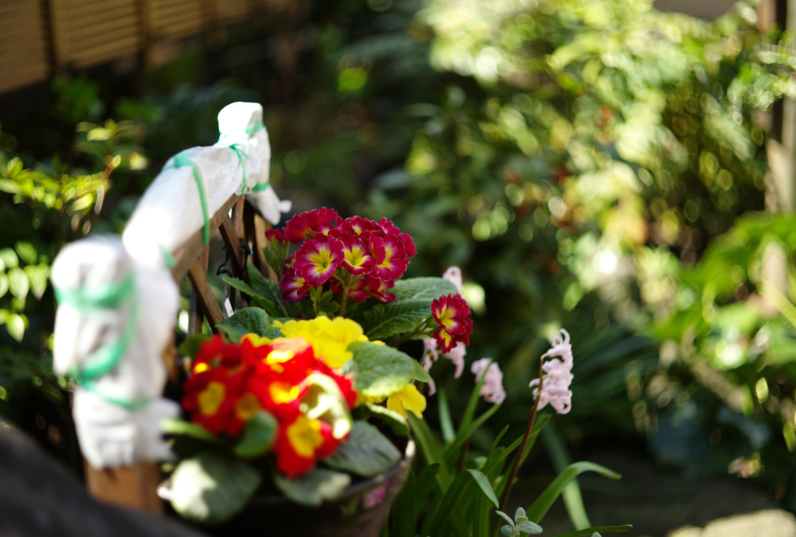 011259_13_leica_copy_topcor-s_50_2_l