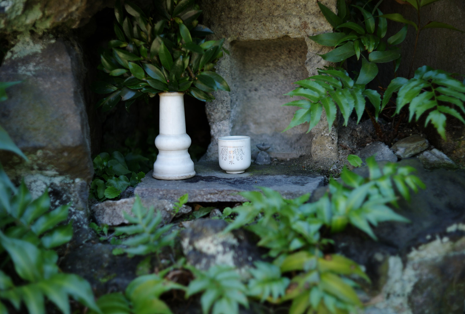 011259_14_leica_copy_topcor-s_50_2_l