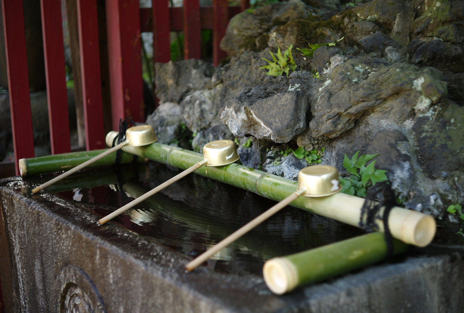 011259_15_leica_copy_topcor-s_50_2_l