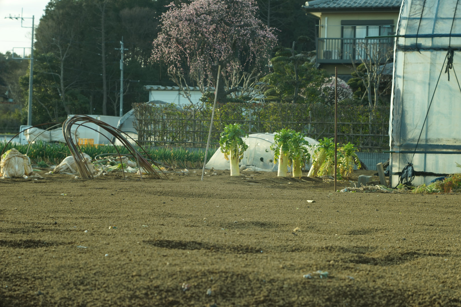012100_11_leica_copy_berthiot_perigraphe_no.2_serie_vi_90_14_l