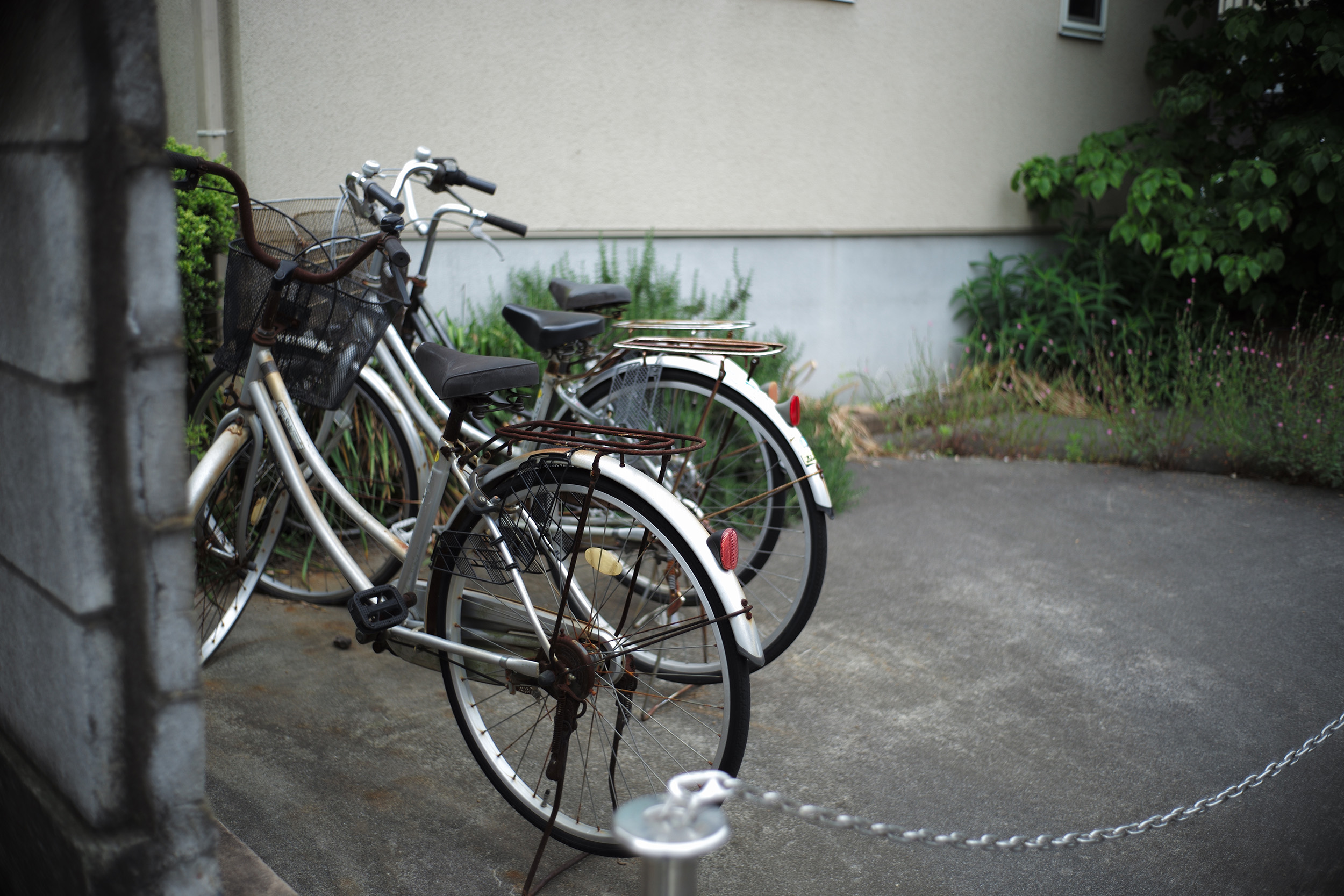 レンコン様 ズミクロン M 35mm F2 3rd 7枚玉 - カメラ